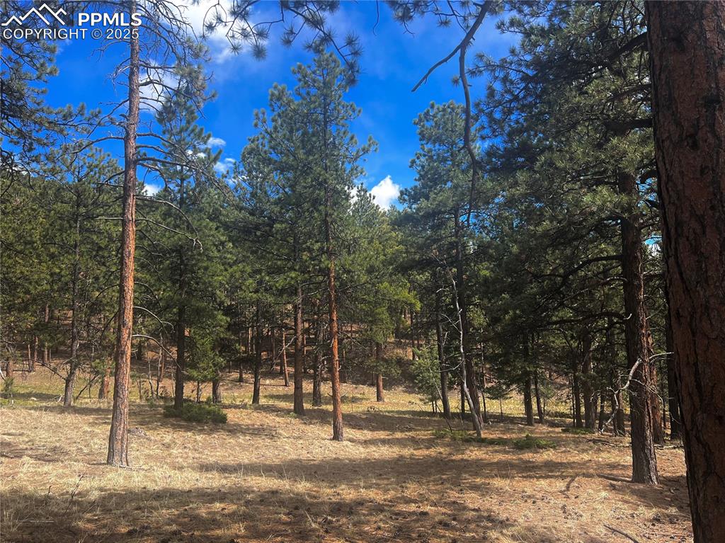 Image 9 of 36: Other