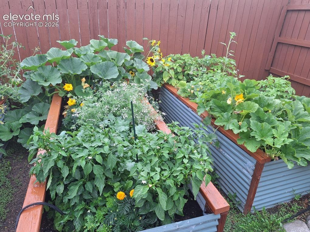 Image 6 of 46: Newly planted vegetable and herb gardens