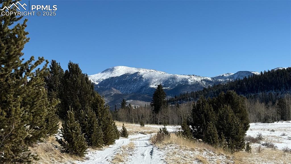 Image 29 of 30: View