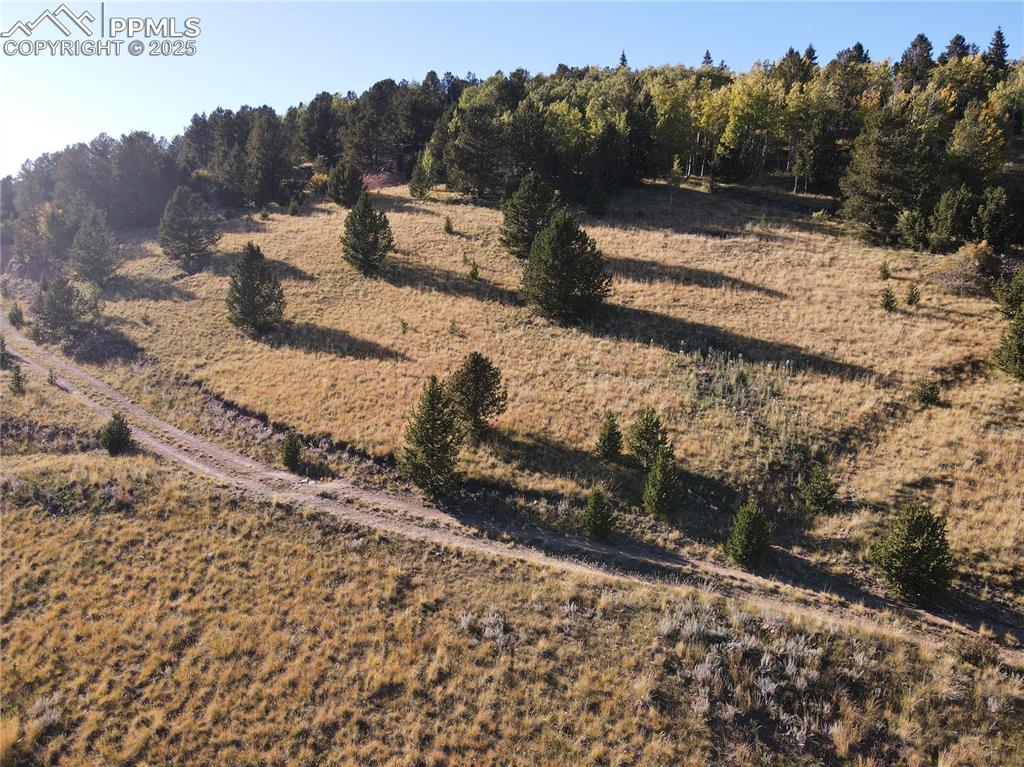 Image 8 of 30: Other