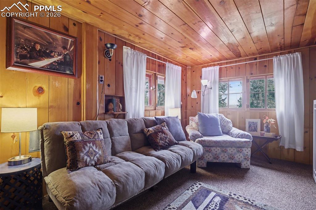 Image 25 of 45: Living Room