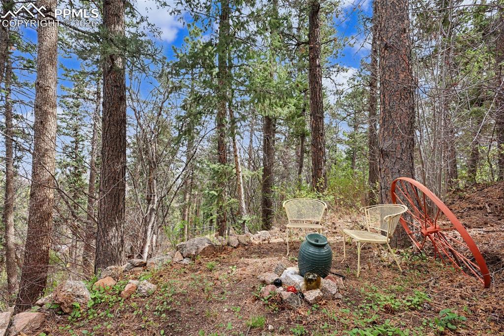 Image 40 of 45: Yard