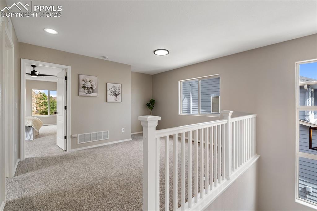 Image 37 of 49: Other