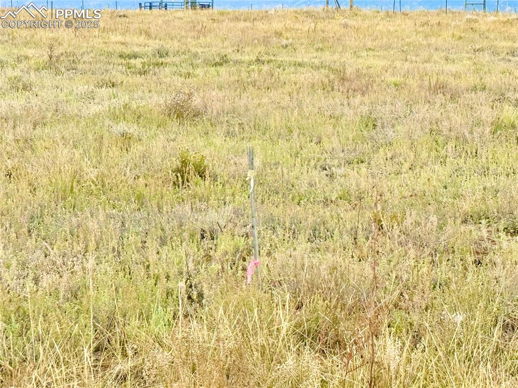 Image 3 of 13: Other