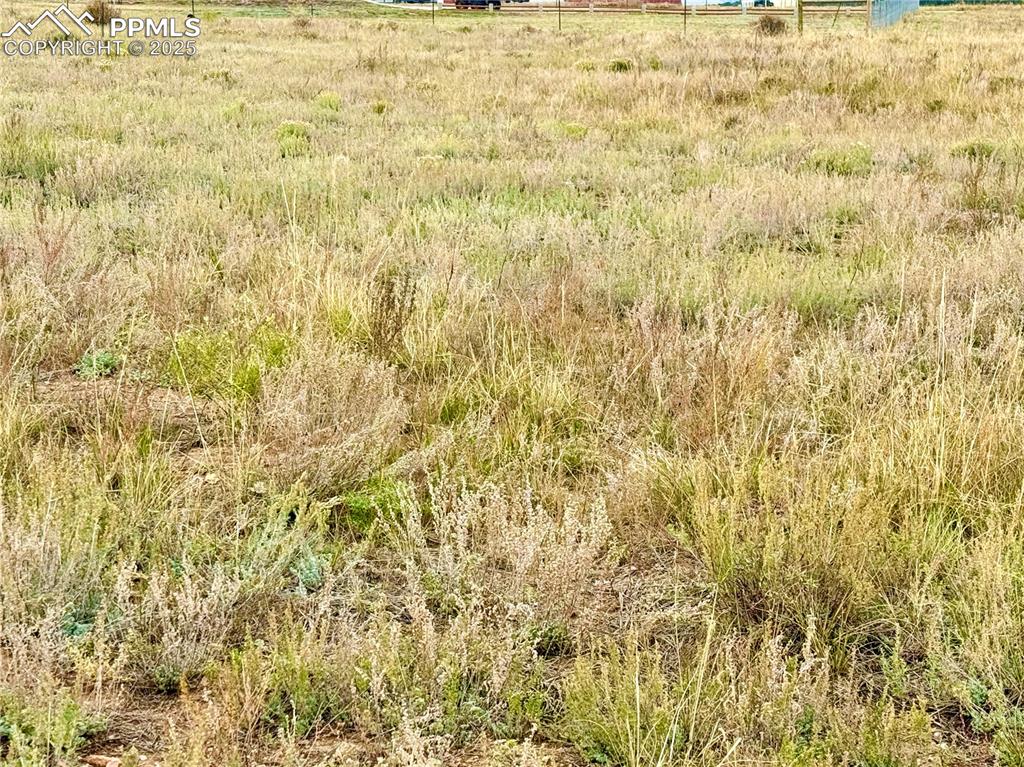 Image 4 of 13: Other