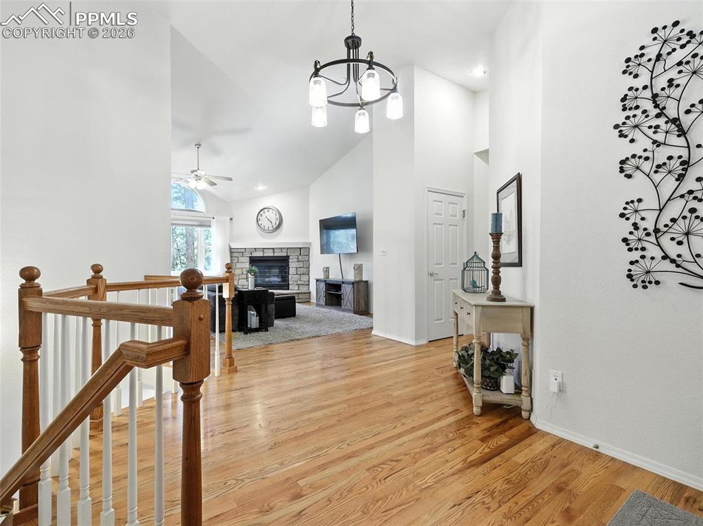 Image 7 of 50: Other