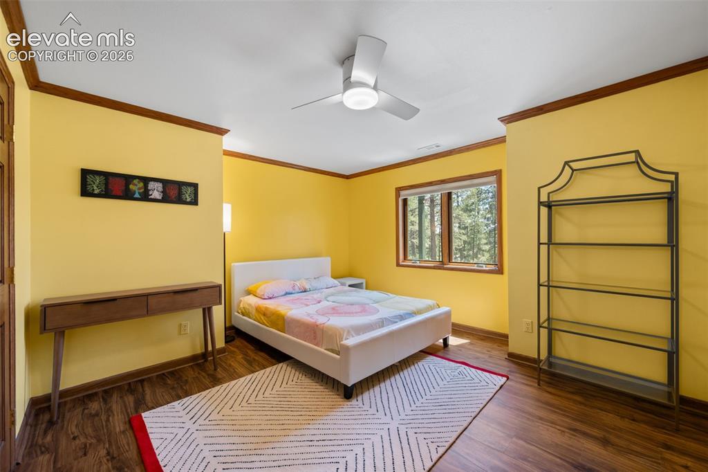Image 26 of 47: Bright interior with wood-finish flooring, a ceiling fan, and a window fram