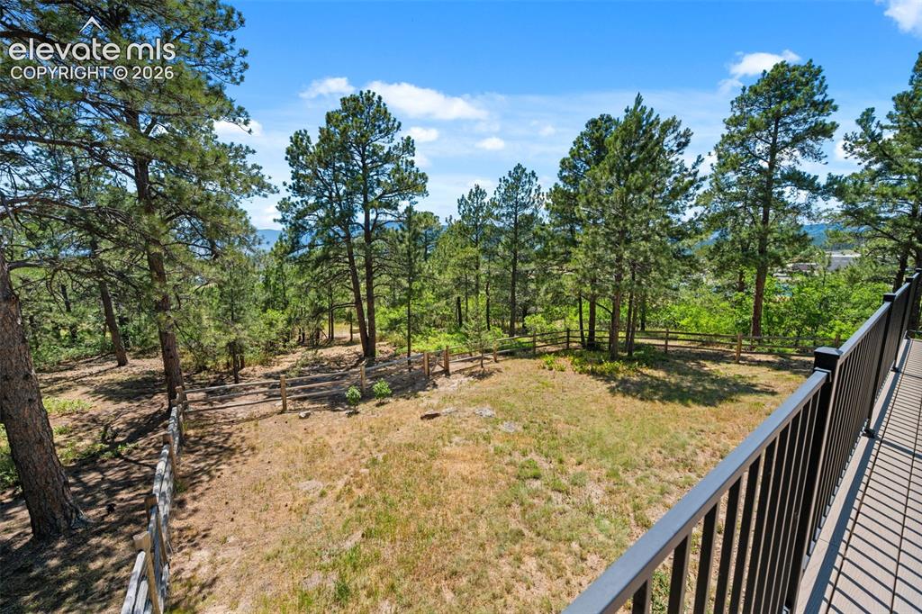 Image 42 of 47: Expansive outdoor space featuring mature pine trees, a natural landscape, a