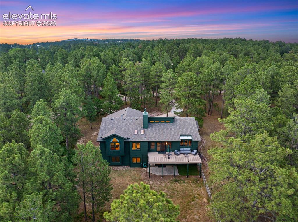Image 44 of 47: Wooded lot featuring a dark green exterior, multi-level roofline, ample win
