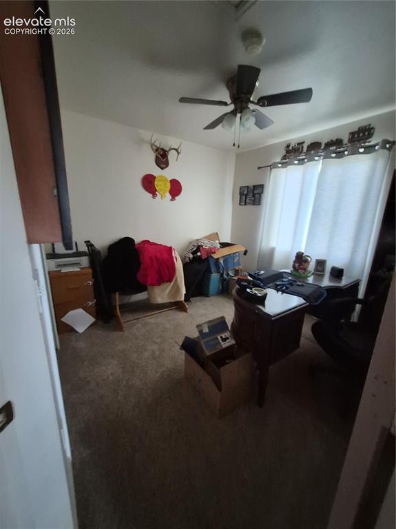 Image 15 of 17: Other