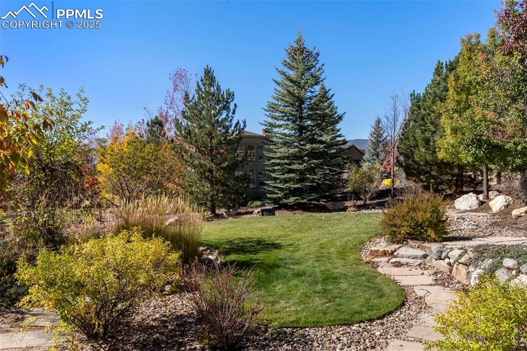 Image 38 of 46: Yard