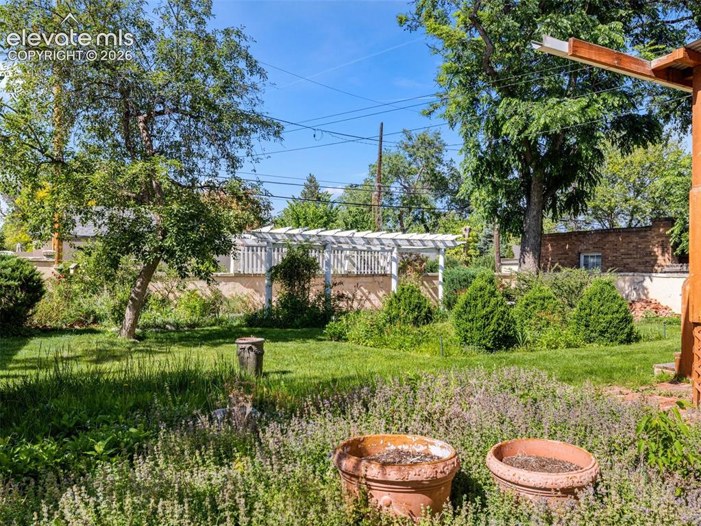 Image 41 of 49: Yard