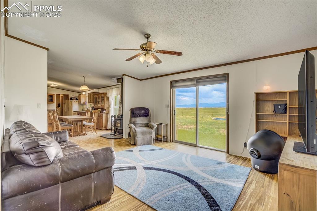 Image 16 of 50: Living room with ceiling fan, crown molding, light wood-style floors, and a