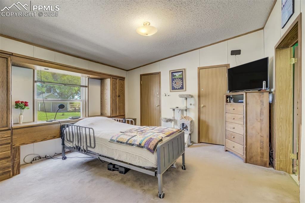 Image 17 of 50: Bedroom featuring light colored carpet, ornamental molding, a textured ceil