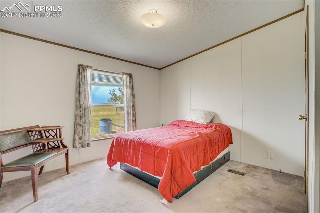 Image 22 of 50: Bedroom with crown molding, carpet flooring, and a textured ceiling