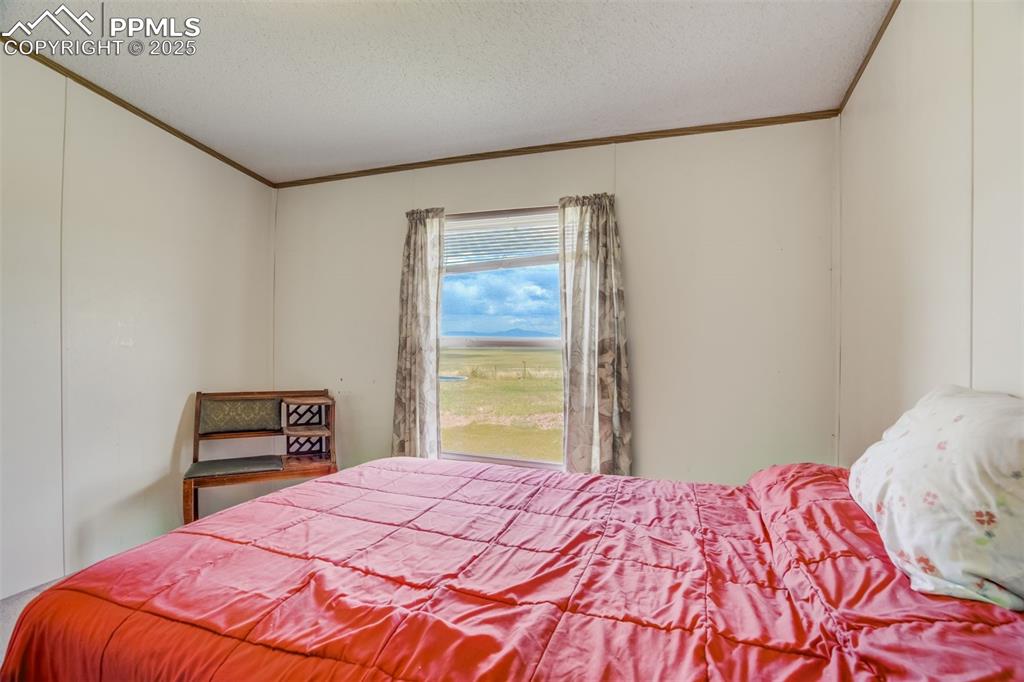 Image 23 of 50: Bedroom with crown molding and a textured ceiling
