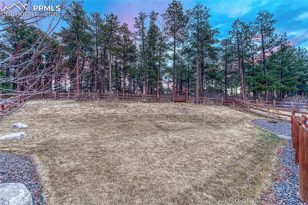 Image 47 of 50: Yard