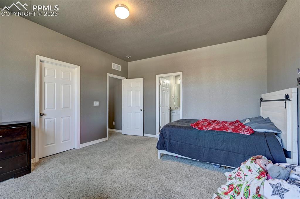 Image 39 of 50: Carpeted room with a ceiling-mounted light fixture, multiple panel doors, a