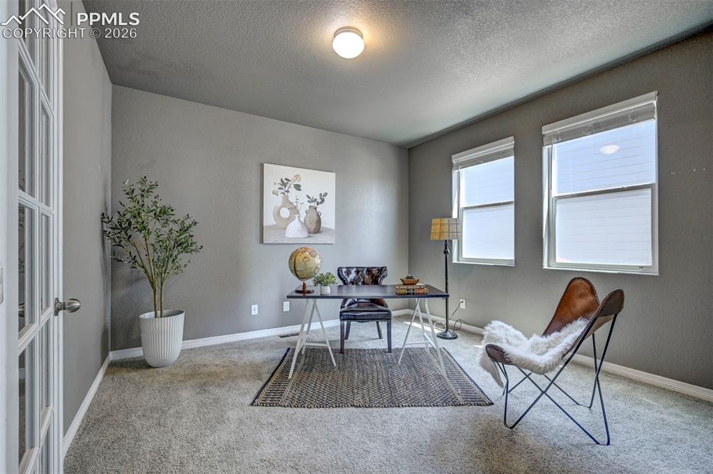 Image 6 of 50: Room with light gray walls, carpeted flooring, and a single ceiling light f