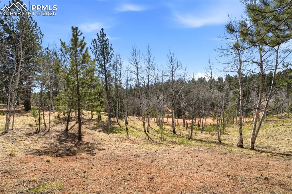 Image 34 of 50: Other