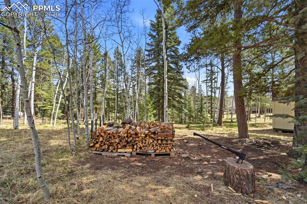 Image 36 of 50: Yard