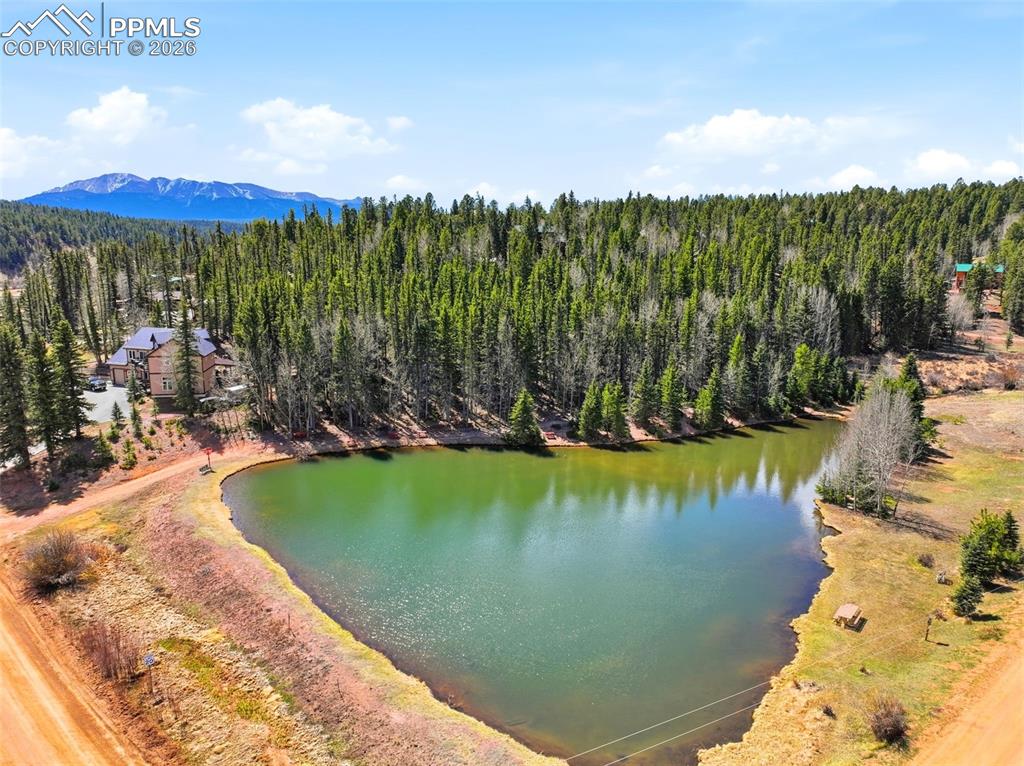 Image 38 of 50: Aerial View