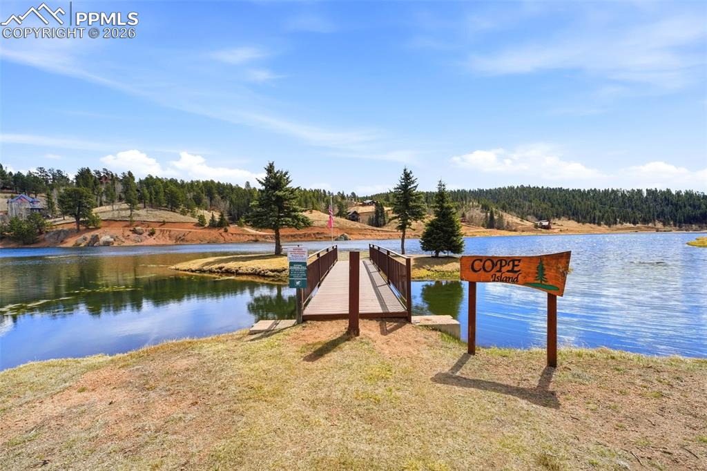 Image 42 of 50: View