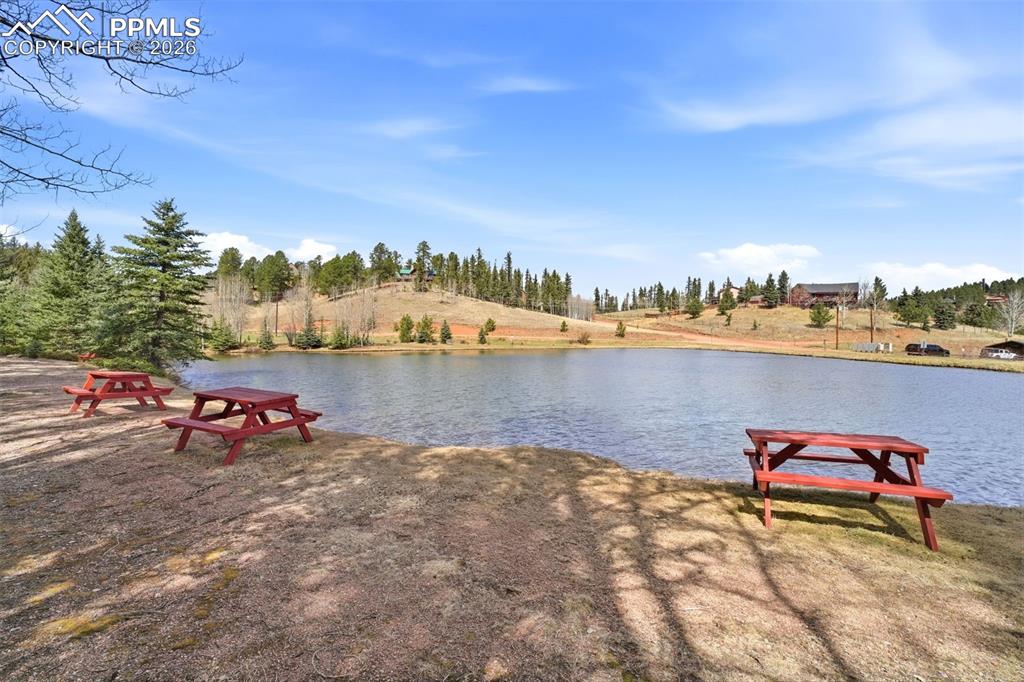 Image 45 of 50: View