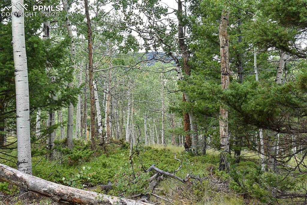 Image 10 of 23: Other