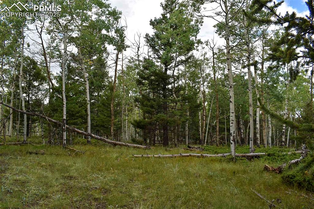 Image 11 of 23: Other