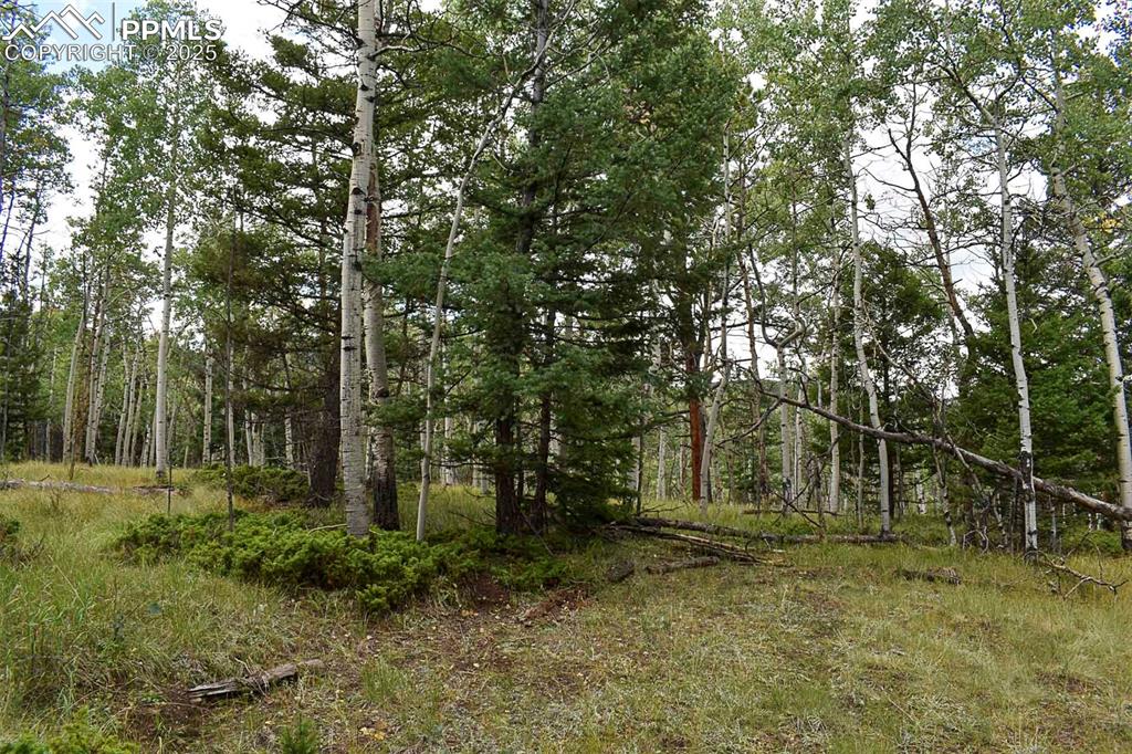 Image 12 of 23: Other