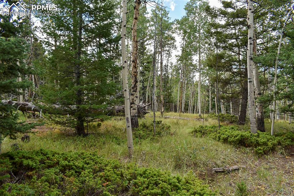 Image 13 of 23: Other