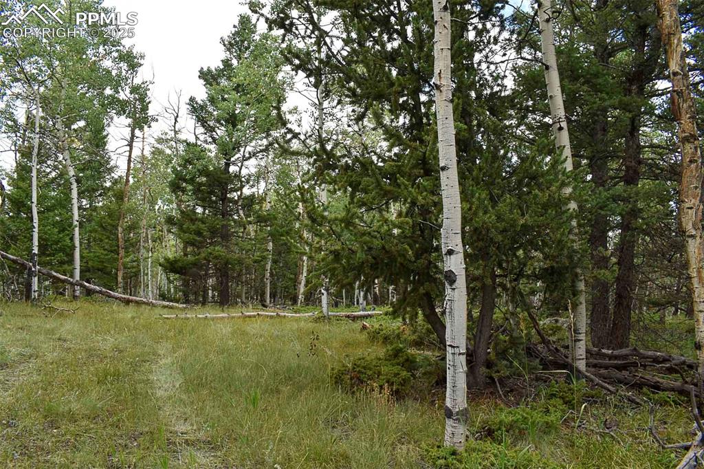 Image 14 of 23: Other