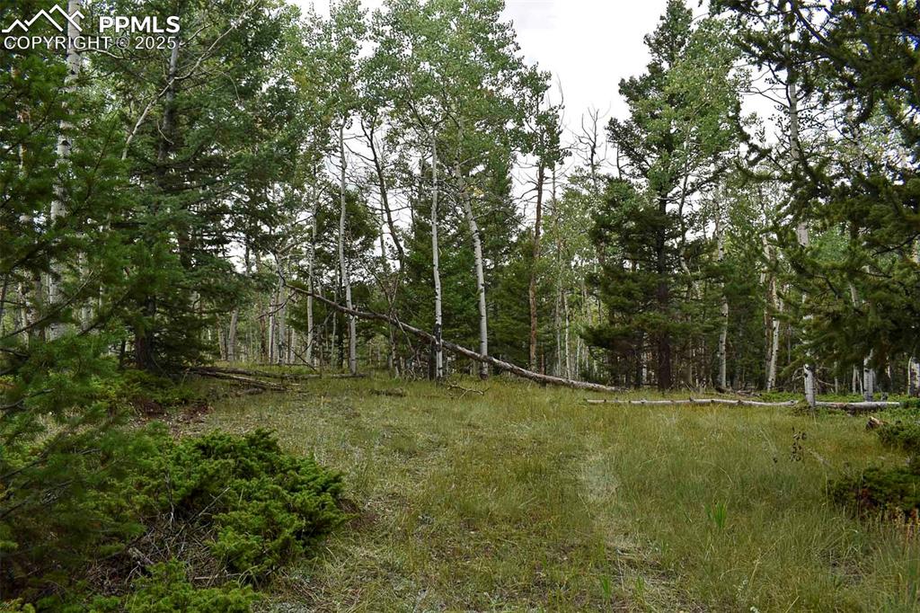 Image 15 of 23: Yard