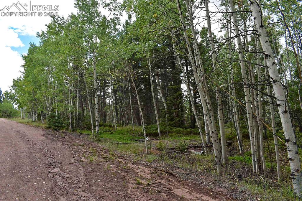 Image 16 of 23: Community