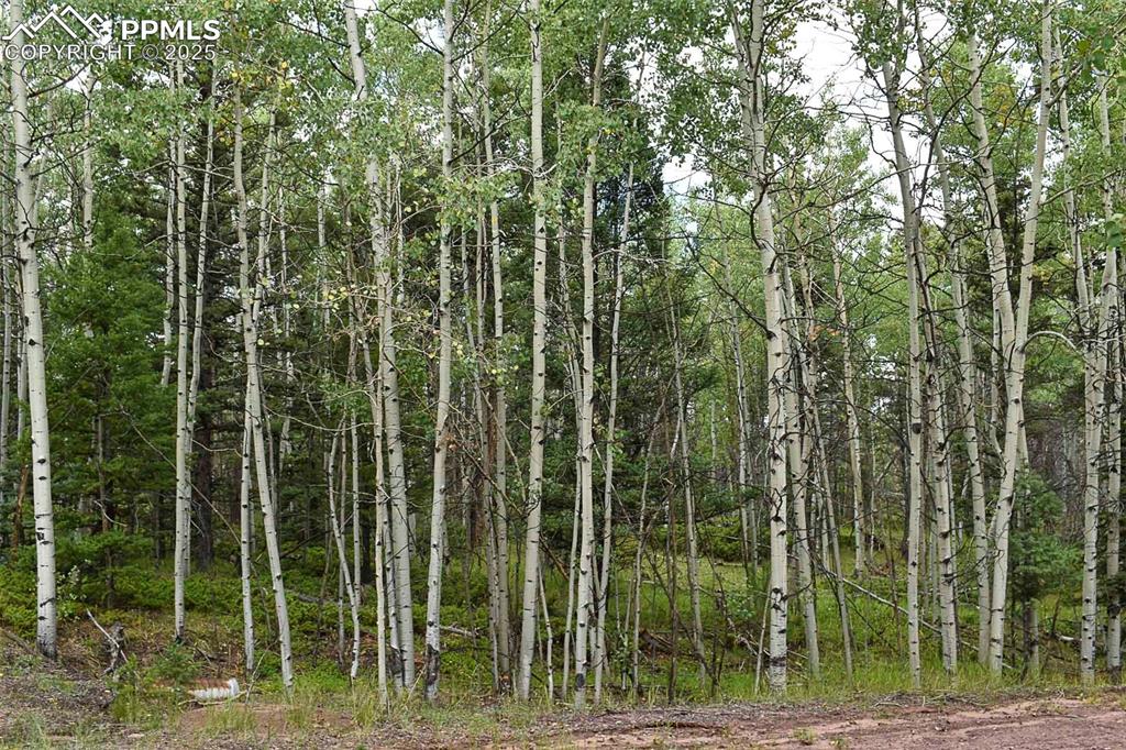 Image 17 of 23: Other