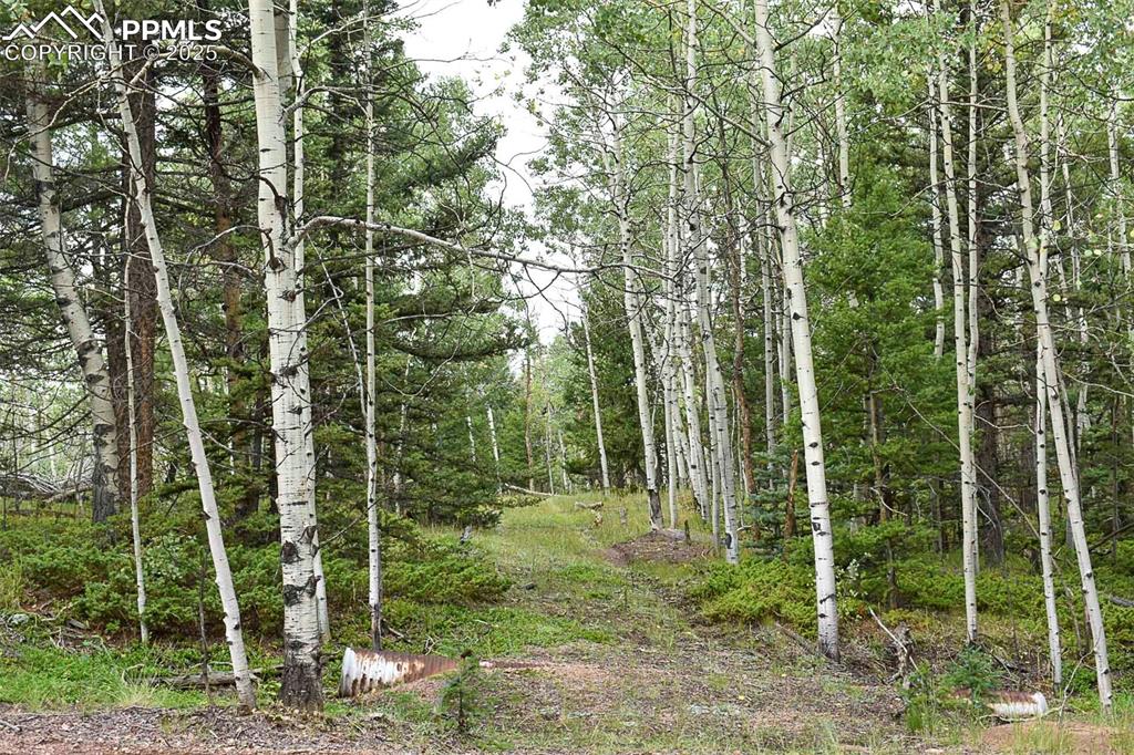 Image 18 of 23: Other