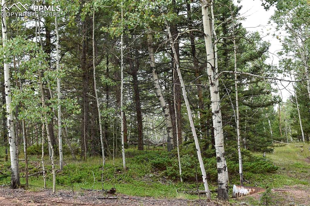 Image 19 of 23: Other