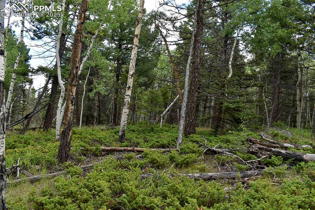 Image 2 of 23: Other