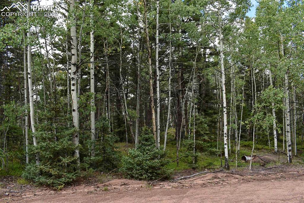 Image 20 of 23: Other