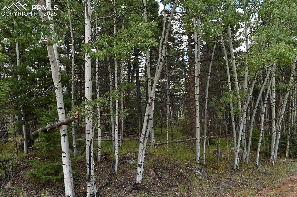 Image 21 of 23: Other