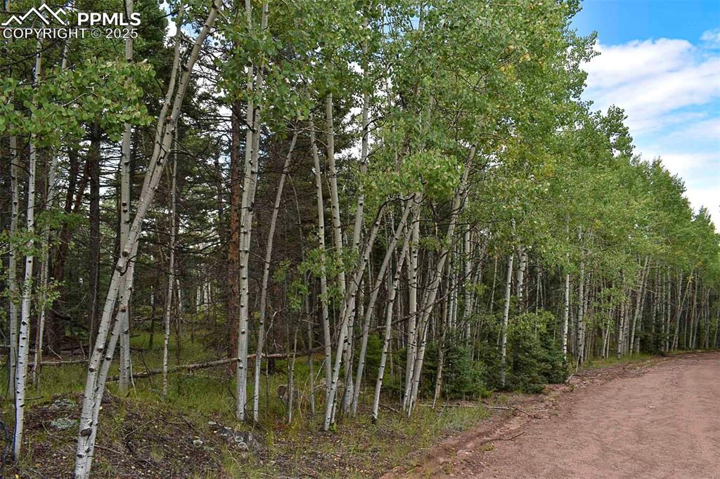 Image 22 of 23: Other