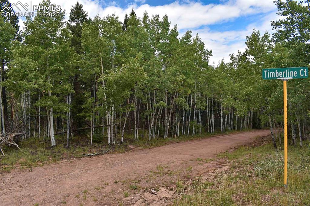 Image 23 of 23: Community