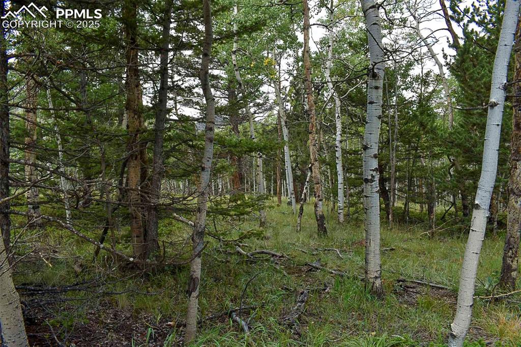 Image 3 of 23: Other