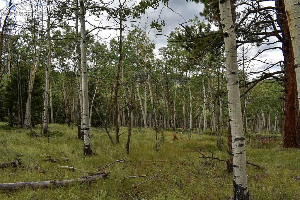 Image 4 of 23: Other