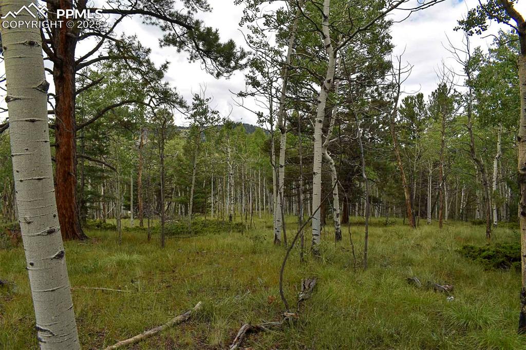 Image 5 of 23: Other