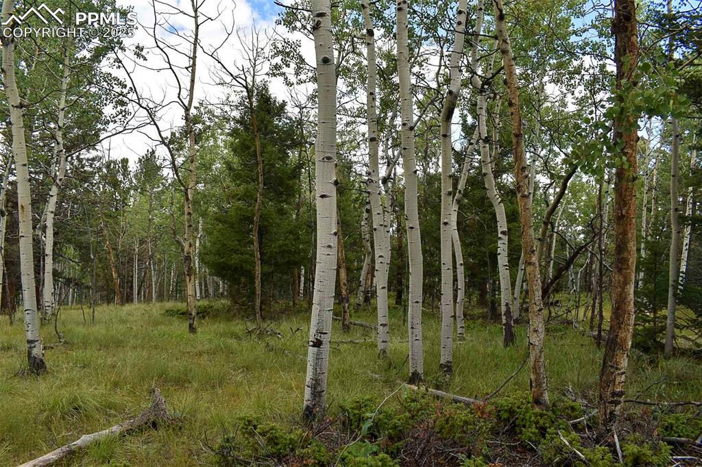 Image 6 of 23: Other