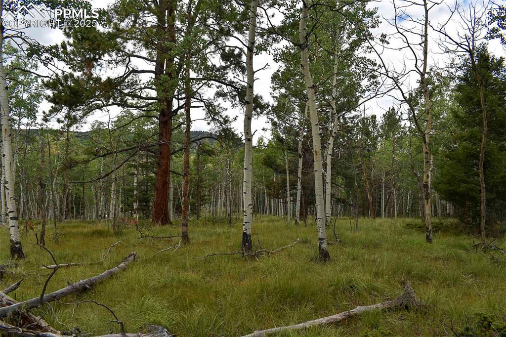 Image 7 of 23: Other