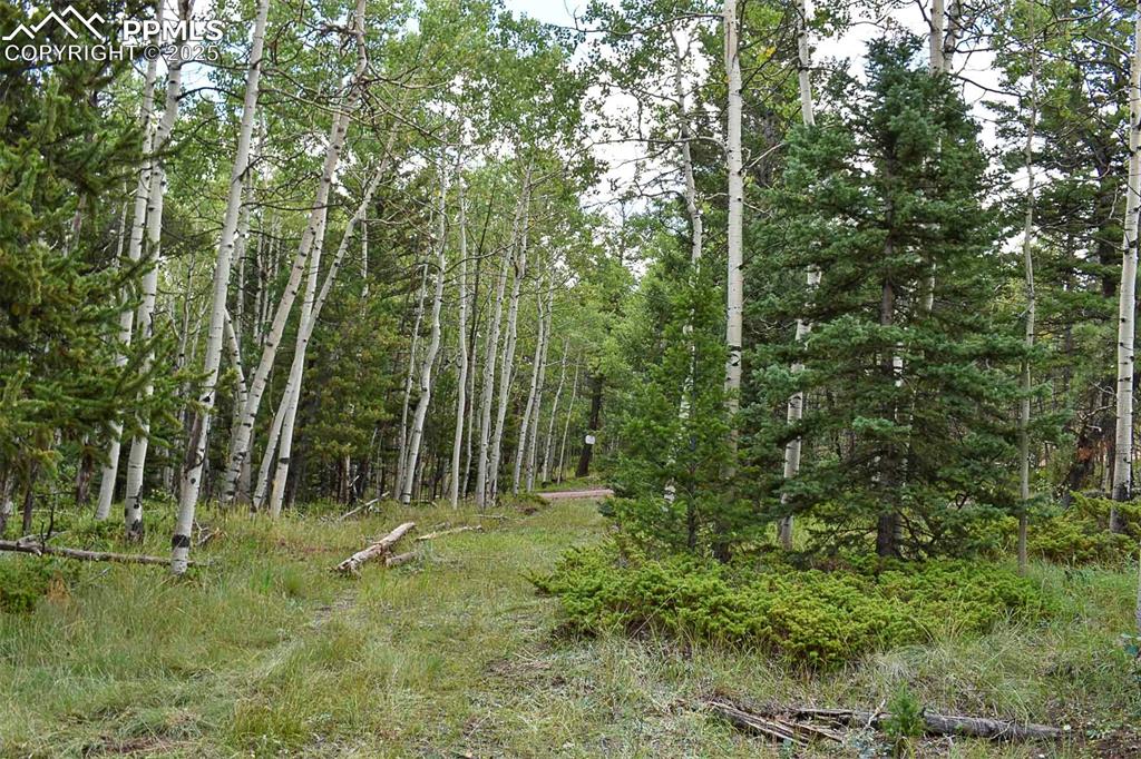 Image 8 of 23: Other