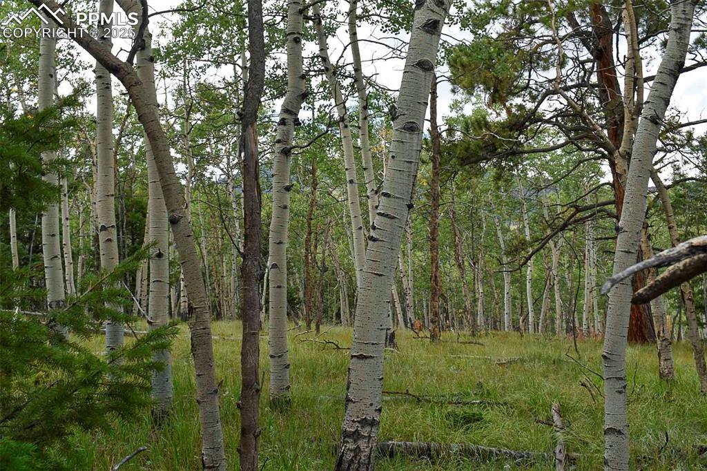 Image 9 of 23: Other